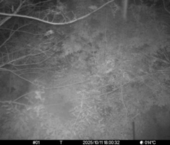 Oct 11 2025 18:00:32, #01