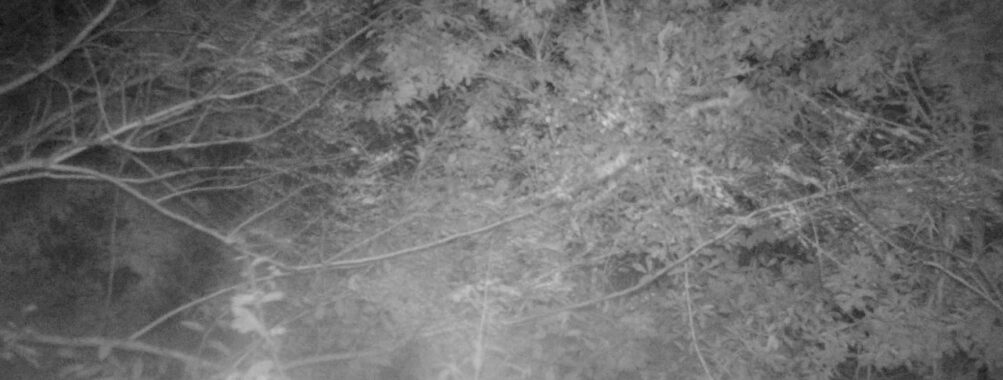 Oct 11 2025 21:00:30, #01