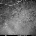 Oct 11 2025 21:00:30, #01
