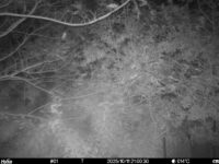 Oct 11 2025 21:00:30, #01