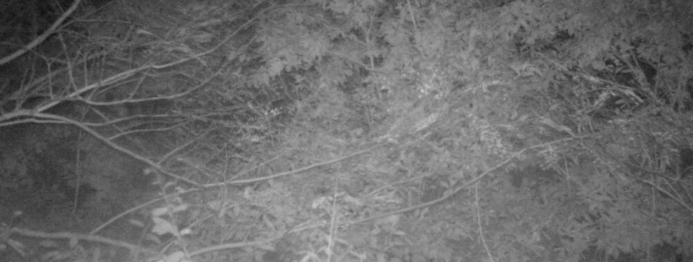Oct 12 2025  0:00:31, #01