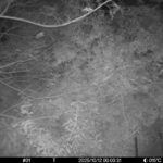 Oct 12 2025  0:00:31, #01