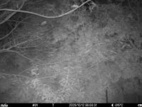 Oct 12 2025  0:00:31, #01