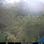 Oct 12 2025  6:00:32, #01
