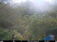 Oct 12 2025  6:00:32, #01