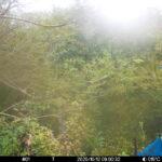 Oct 12 2025  9:00:32, #01