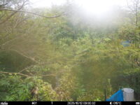 Oct 12 2025  9:00:32, #01