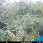 Oct 12 2025 12:00:31, #01