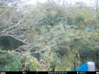 Oct 12 2025 12:00:31, #01