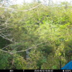 Oct 12 2025 15:00:32, #01