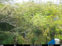 Oct 12 2025 15:00:32, #01