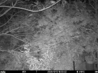 Oct 12 2025 18:00:32, #01