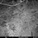 Oct 12 2025 21:00:31, #01