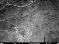 Oct 13 2025  0:00:31, #01