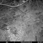 Oct 13 2025  3:00:31, #01