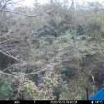 Oct 13 2025  6:00:31, #01