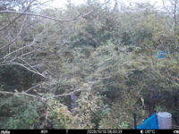 Oct 13 2025  6:00:31, #01