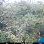 Oct 13 2025  9:00:32, #01