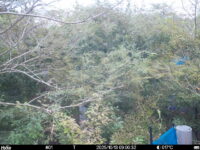 Oct 13 2025  9:00:32, #01