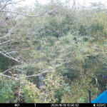 Oct 13 2025 12:00:32, #01