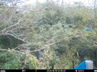 Oct 13 2025 12:00:32, #01