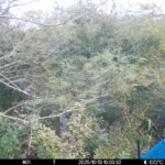 Oct 13 2025 15:00:31, #01