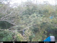 Oct 13 2025 15:00:31, #01