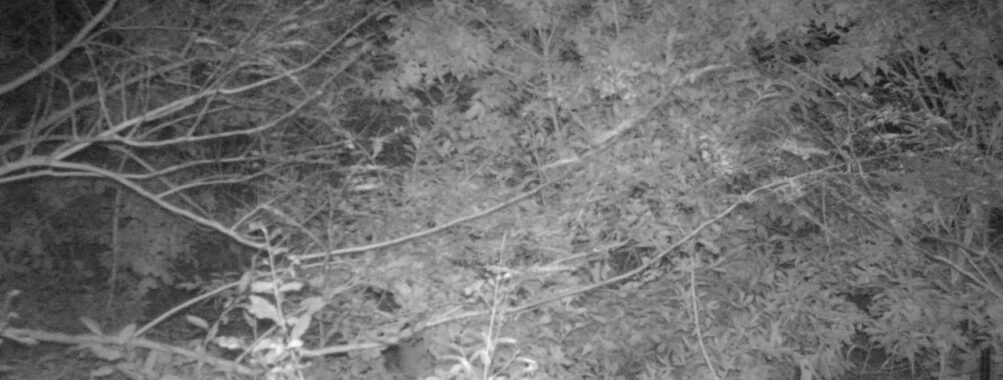 Oct 14 2025  0:00:30, #01
