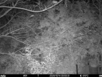 Oct 14 2025  3:00:31, #01