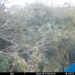 Oct 14 2025  6:00:31, #01