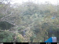 Oct 14 2025  6:00:31, #01