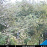 Oct 14 2025  9:00:32, #01