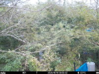 Oct 14 2025  9:00:32, #01