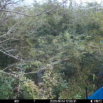 Oct 14 2025 12:00:31, #01