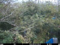 Oct 14 2025 12:00:31, #01