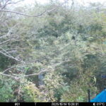 Oct 14 2025 15:00:31, #01