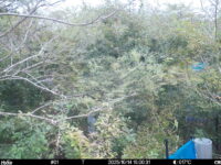 Oct 14 2025 15:00:31, #01