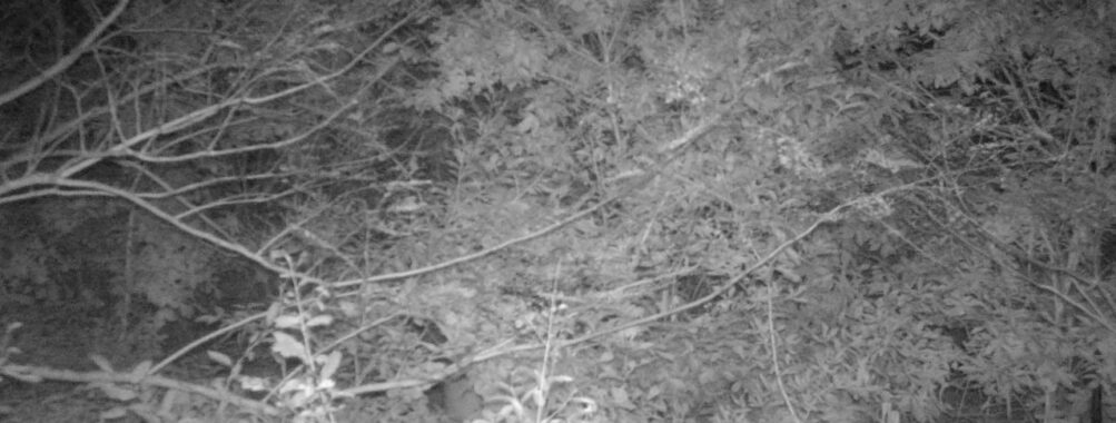 Oct 14 2025 18:00:32, #01