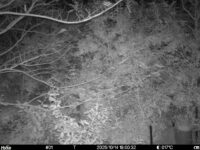 Oct 14 2025 18:00:32, #01