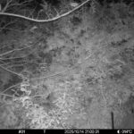 Oct 14 2025 21:00:31, #01