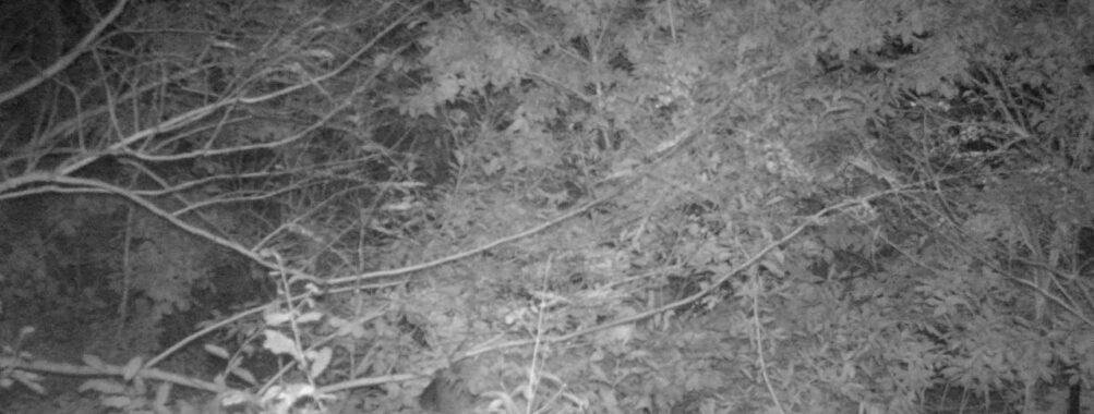 Oct 15 2025  0:00:30, #01