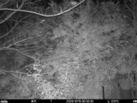 Oct 15 2025  0:00:30, #01