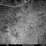 Oct 15 2025  3:00:31, #01
