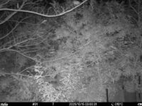 Oct 15 2025  3:00:31, #01