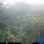 Oct 15 2025  6:00:32, #01