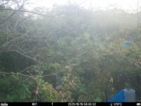 Oct 15 2025  6:00:32, #01