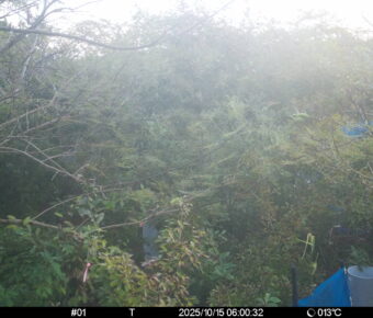 Oct 15 2025  6:00:32, #01
