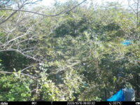 Oct 15 2025  9:00:32, #01