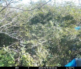 Oct 15 2025  9:00:32, #01