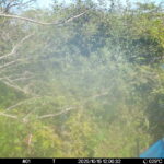 Oct 15 2025 12:00:32, #01